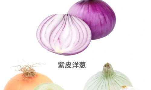 重度干眼症有什么症状网 :分享重度干眼症的症状表现-重度干眼症多久才能恢复正常知识